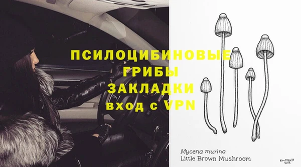 спиды Заволжск