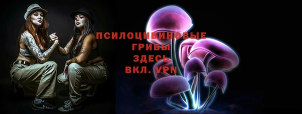 2c-b Заводоуковск