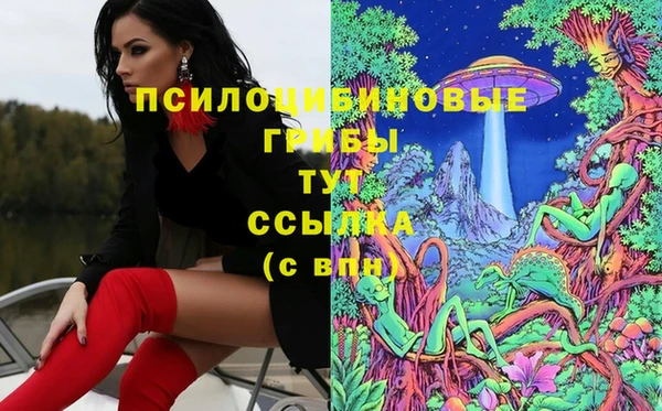 2c-b Заводоуковск